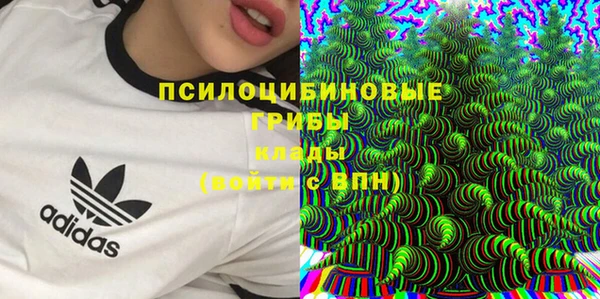 молекула духа Алексин