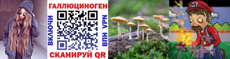ссылка на мегу маркетплейс  дарнет шоп  Сенгилей  Галлюциногенные грибы Cubensis 